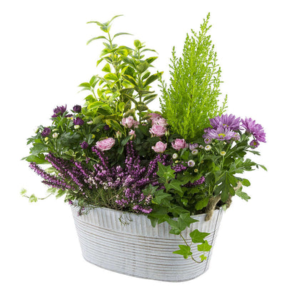  Composition D’Automne : Bassine Zinc, Ø 30 cm - - Coloris Variables