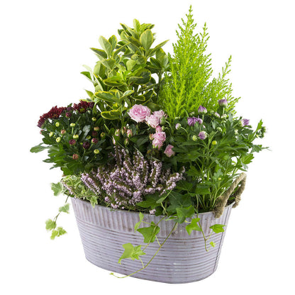  Composition D’Automne : Bassine Zinc, Ø 30 cm - - Coloris Variables