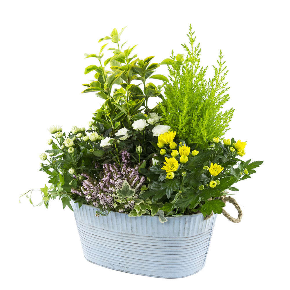  Composition D’Automne : Bassine Zinc, Ø 30 cm - - Coloris Variables