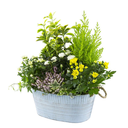  Composition D’Automne : Bassine Zinc, Ø 30 cm - - Coloris Variables