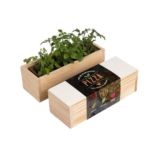  Kit D'auto-culture Complet Culinaire Pizza