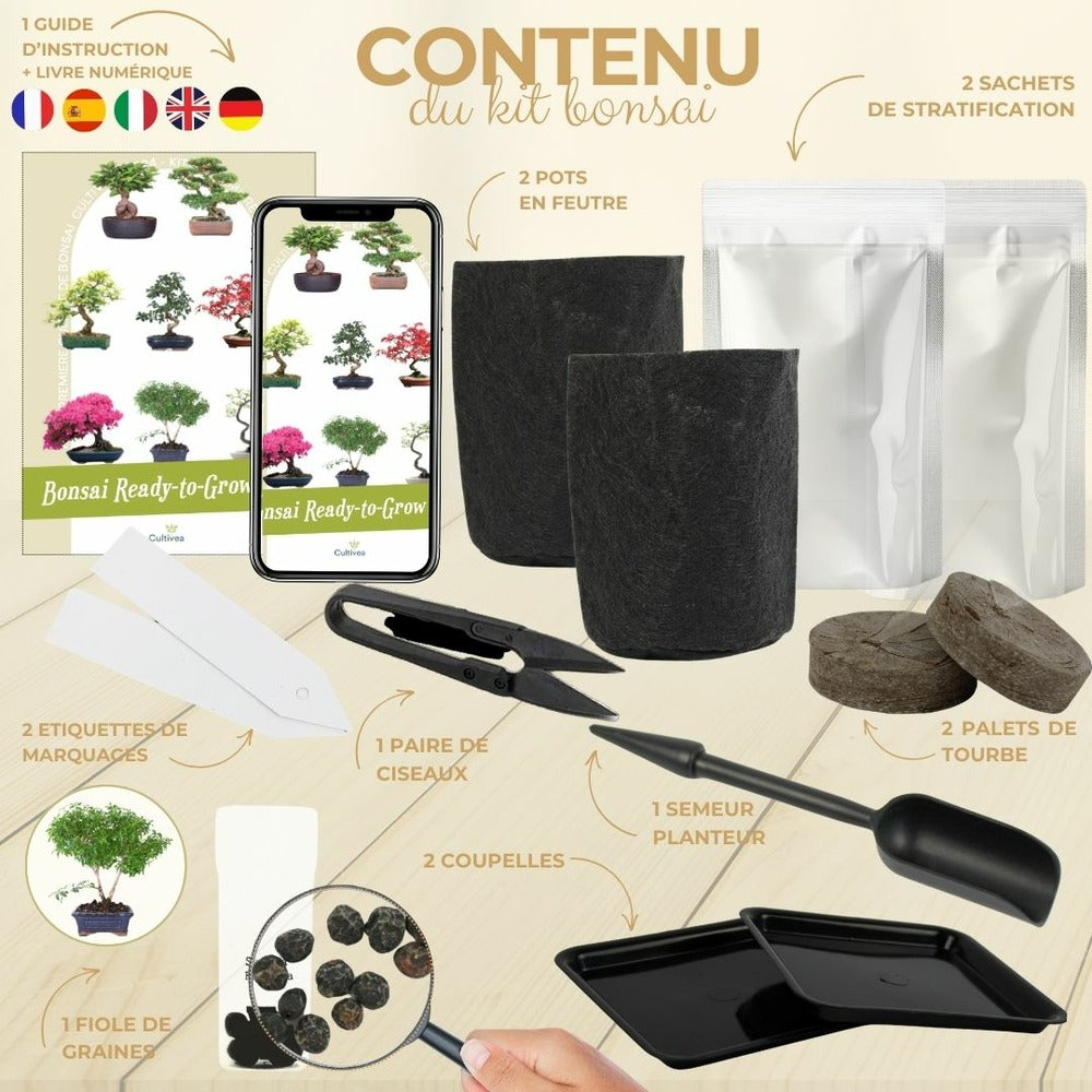  Cultivea- Kit First Bonsai Serissa Foetida Avec Accesoires