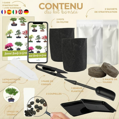  Cultivea- Kit First Bonsai Serissa Foetida Avec Accesoires