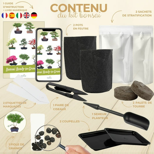  Cultivea- Kit First Bonsai Serissa Foetida Avec Accesoires