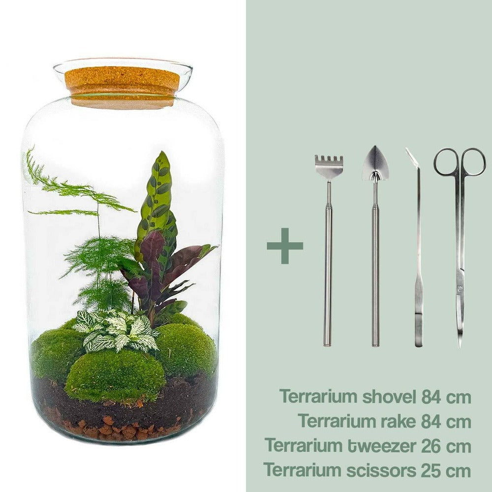  Kit Terrarium Diy - Salen - Rateau + Pelle + Pince + Ciseaux