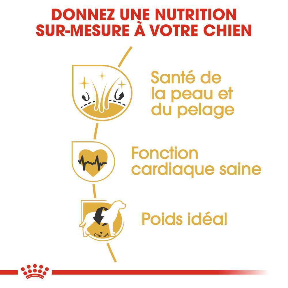 ROYAL CANIN Croquettes Chien Golden Retriever Adulte Plus De 15 Mois 12kg