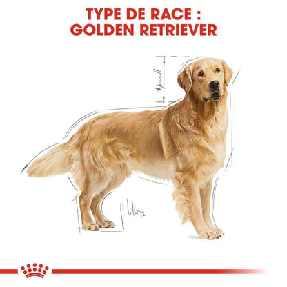 ROYAL CANIN Croquettes Chien Golden Retriever Adulte Plus De 15 Mois 12kg