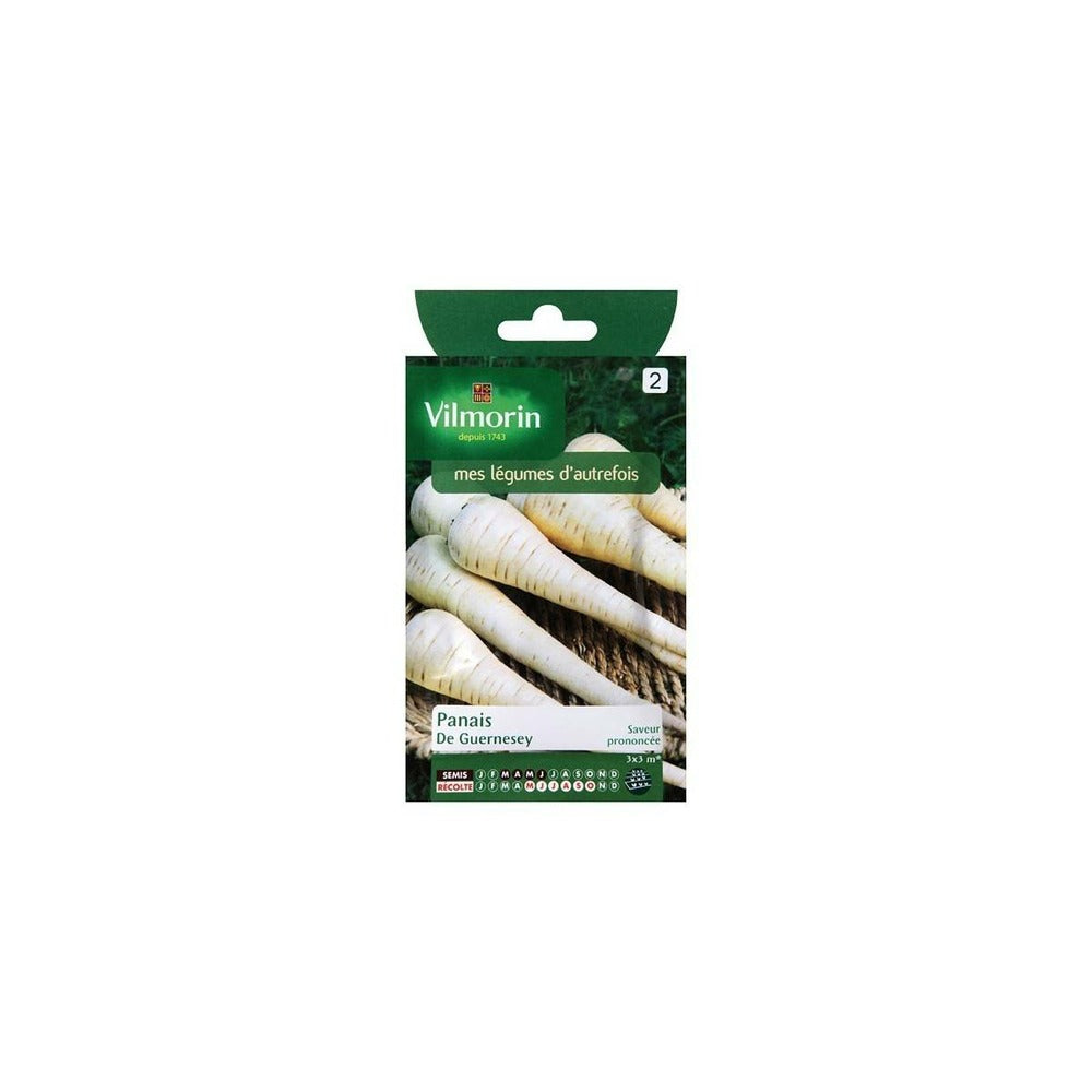  Sachet Graines Panais De Guernesey
