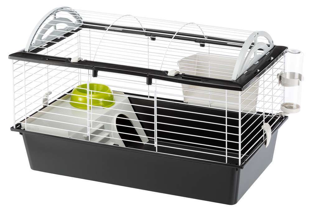 FERPLAST Cage équipée Casita 80 Pour Grands Rongeurs : Longueur 78 Cm