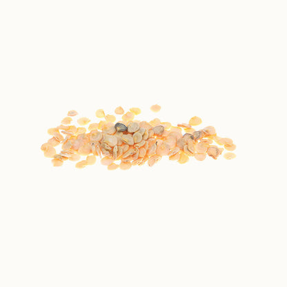  Poivron Caviar Calabrais - Graines Bio