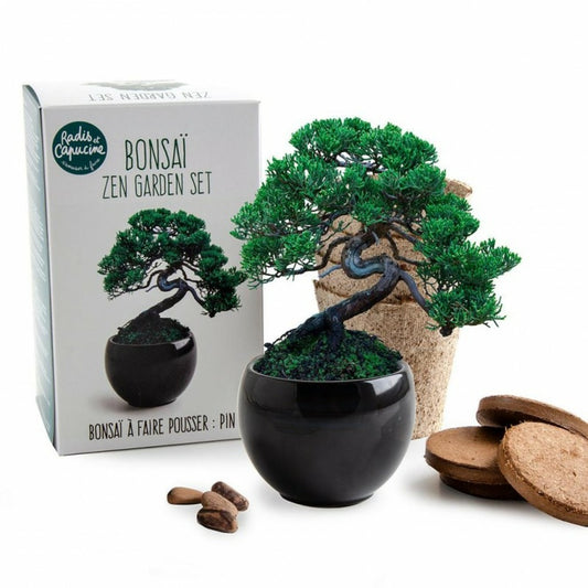  Kit De Culture Bonsaï Avec Pot