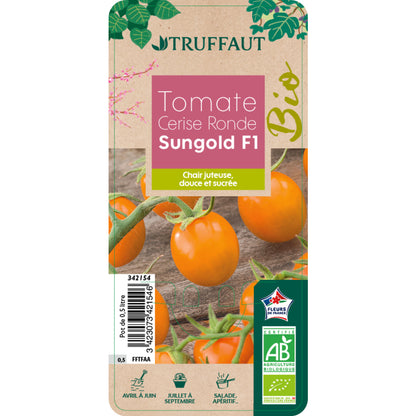 Plant De Tomate Jaune 'Sungold' F1 Bio : Pot De 0,5 Litre
