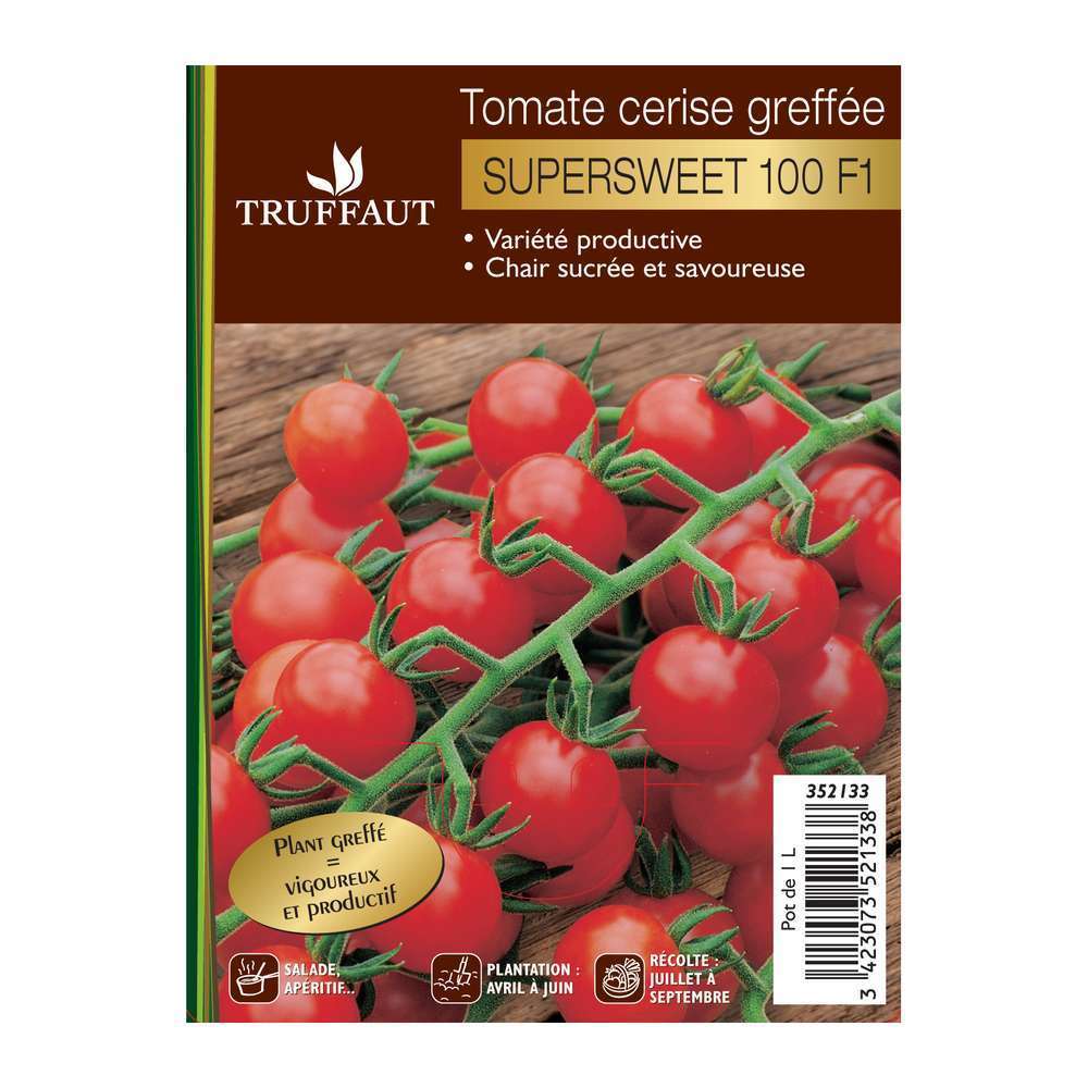  Plant De Tomate 'Supersweet' 100 F1 Greffée : Pot De 1 Litre