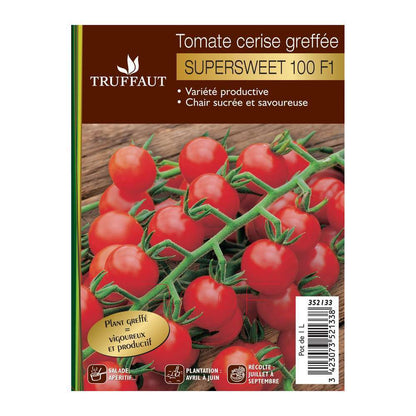  Plant De Tomate 'Supersweet' 100 F1 Greffée : Pot De 1 Litre