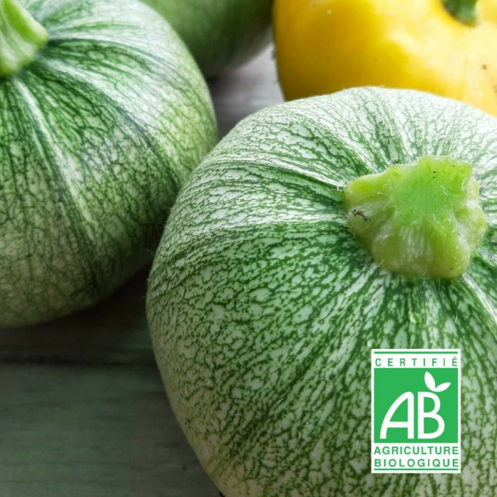  Graines De Courgette De Nice - Sans Traitement/[-]sachet