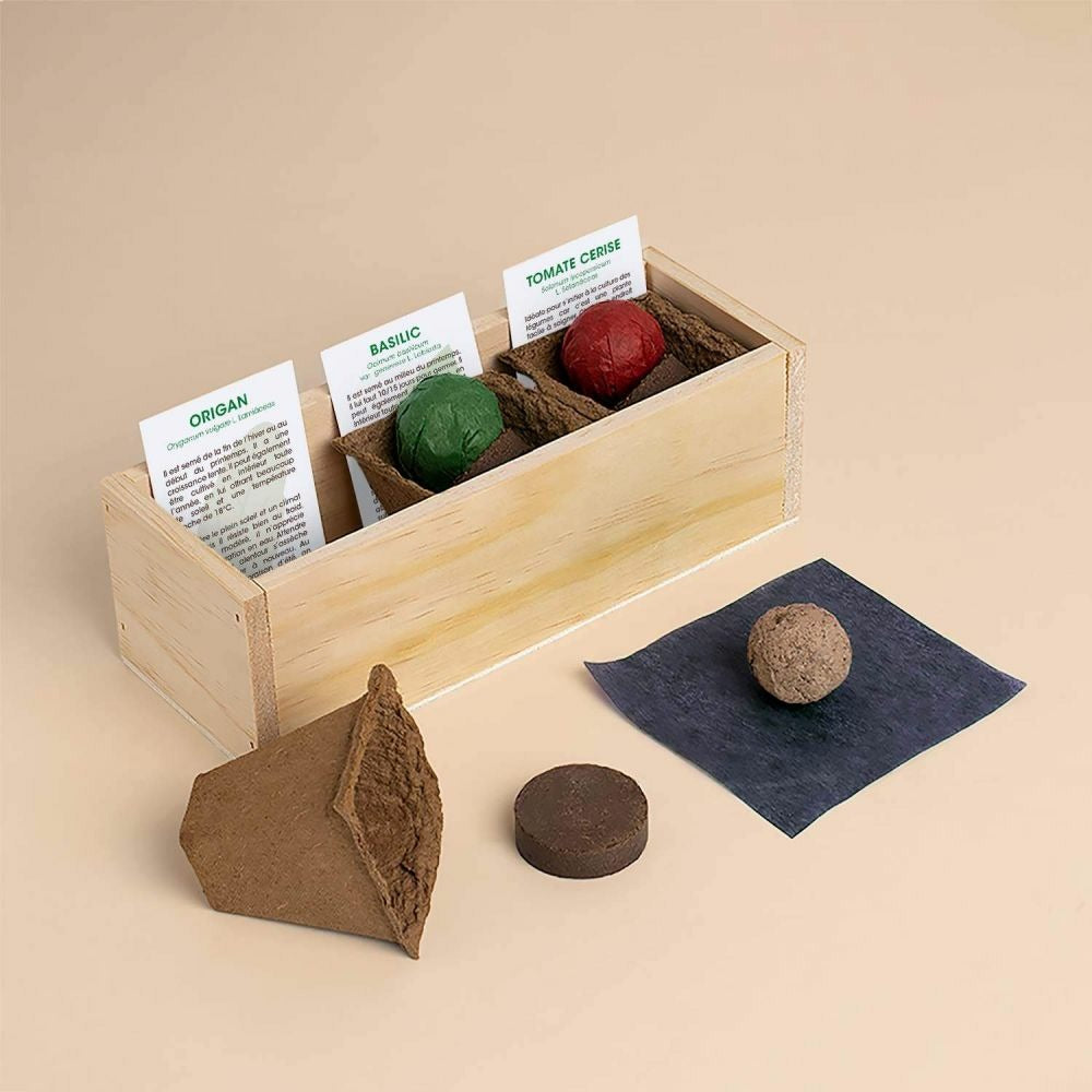  Kit D'auto-culture Complet Culinaire Pizza