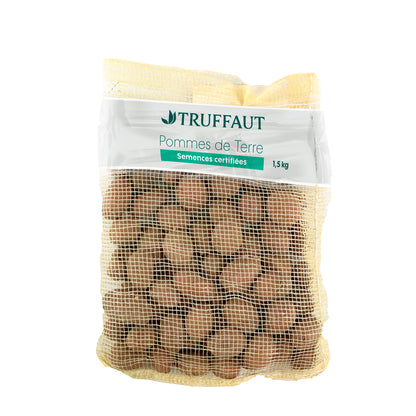  Plants De Pommes De Terre 'Samba' En Sac - 1,5 Kg
