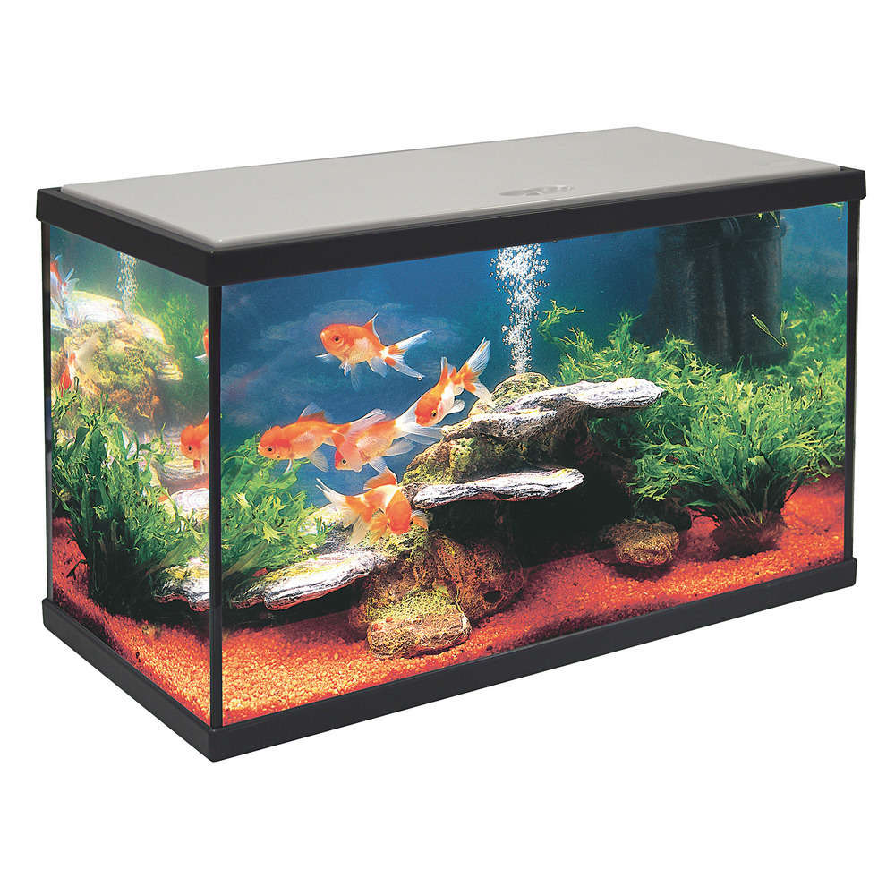  Aquarium En Verre Sarawak Noir : L.50xP.25xH.34 Cm - 40 Litres