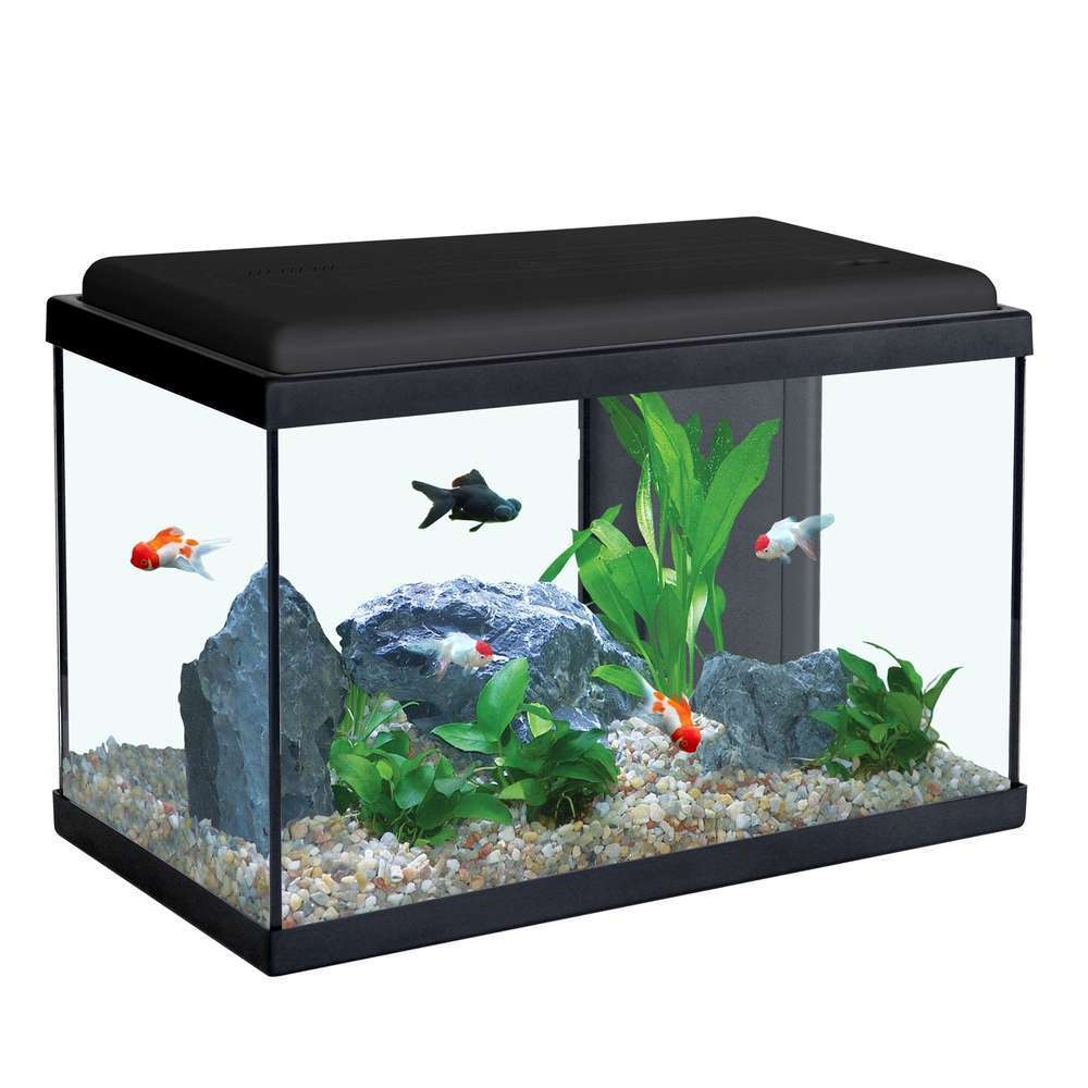  Aquarium En Verre Sarawak Noir : L.50xP.25xH.34 Cm - 40 Litres