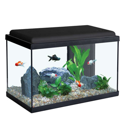  Aquarium En Verre Sarawak Noir : L.50xP.25xH.34 Cm - 40 Litres