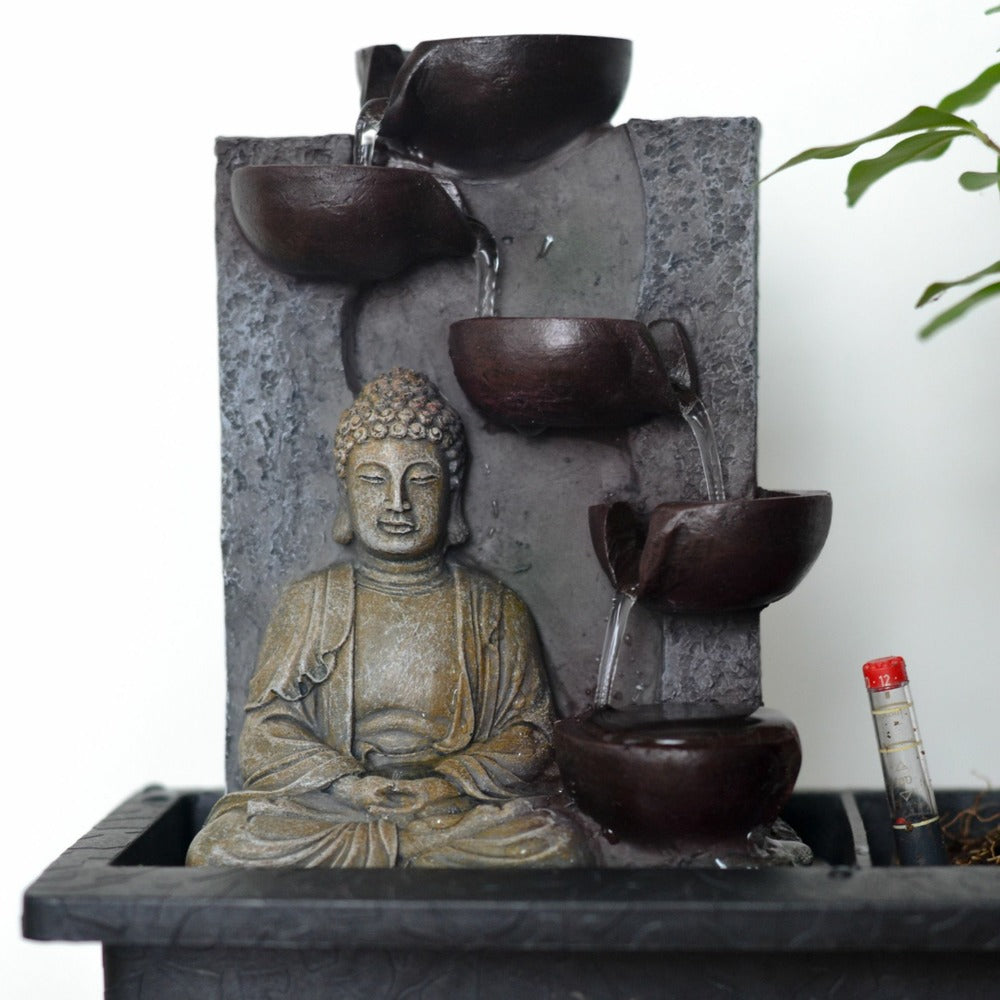  Bonsaï - Bonsai - Hauteur 25-35cm - ⌀29cm