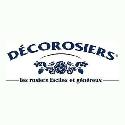  Rosier Arbustif Decorosier® Calizia® 'noa 97200 A'/[-]pot De 5l - 40/60 Cm