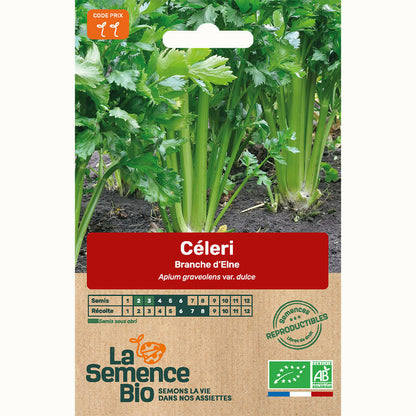  Céleri-branche D'elne - Graines Bio