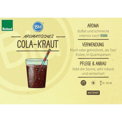  Duo D'herbes Pour Limonade - 1x Herbe à Cola Et 1x Herbe à Limonade En Qualité Bio - 2 Plantes Aromatiques En Pot De 12cm