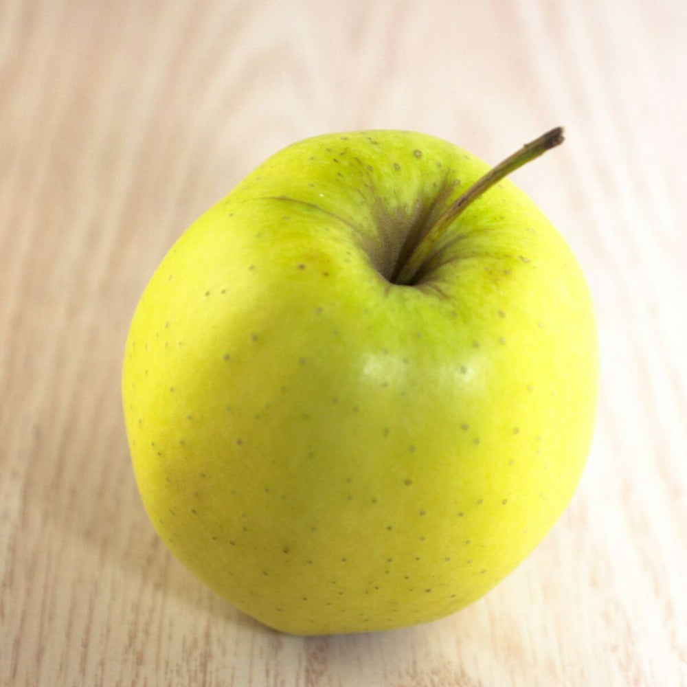  Pommier Golden Delicious/[-]pot De 15l - Double U - 150/175 Cm