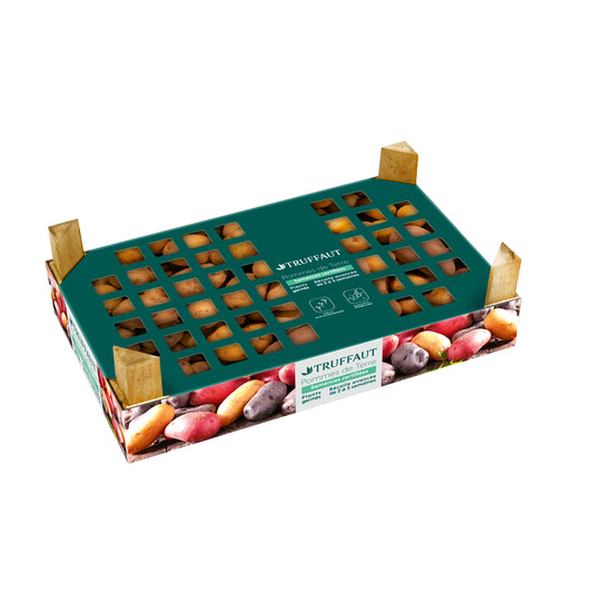  Plants De Pommes De Terre 'Charlotte' En Clayette X100