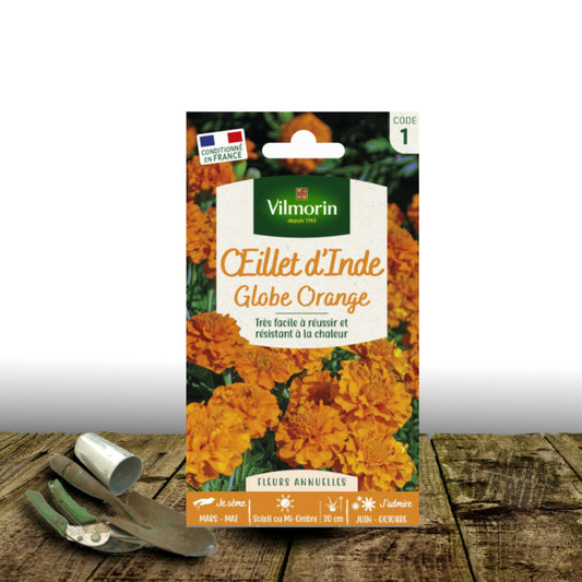  Graines D'oeillet D'inde Globe Orange - Vilmorin/[-]sachet