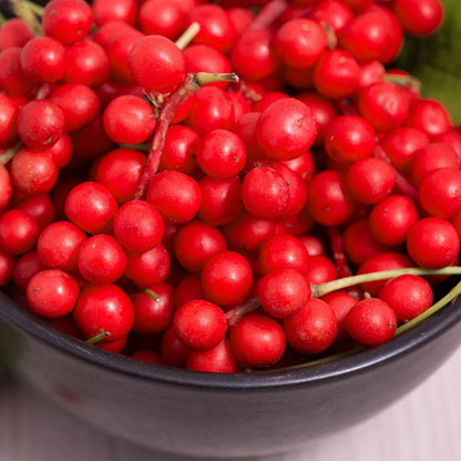  Fruit De La Vitalité - Le Pot / 2l / Hauteur Livrée 40-50cm