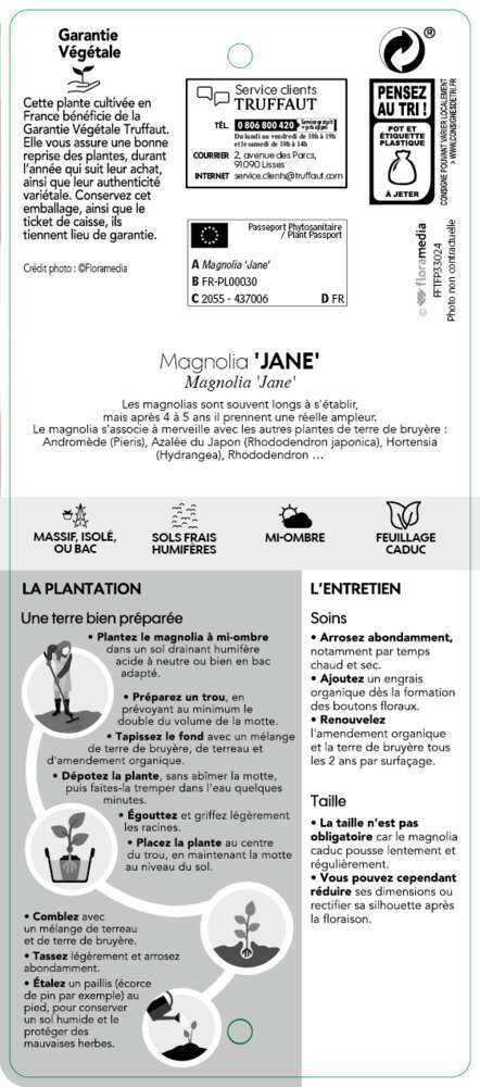  Magnolia X Jane : Conteneur De 10 L