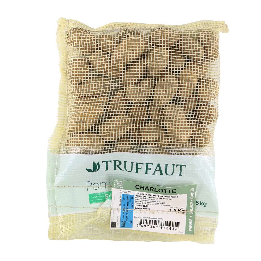  Plants De Pommes De Terre 'Charlotte' En Sac - 1,5 Kg