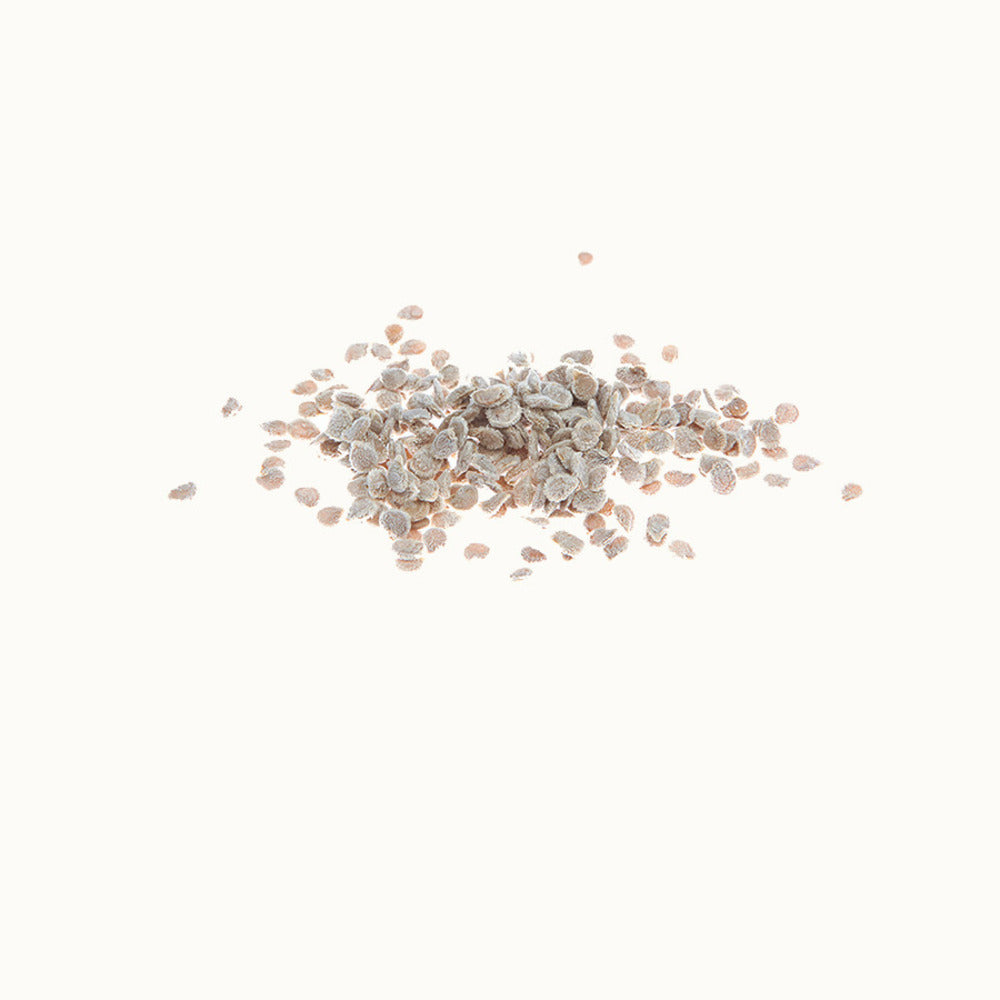  Tomate Prune Noire - Graines Bio