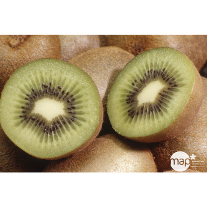  Kiwi Chinensis Solissimo® 'Renact' : Pot De 3 Litres