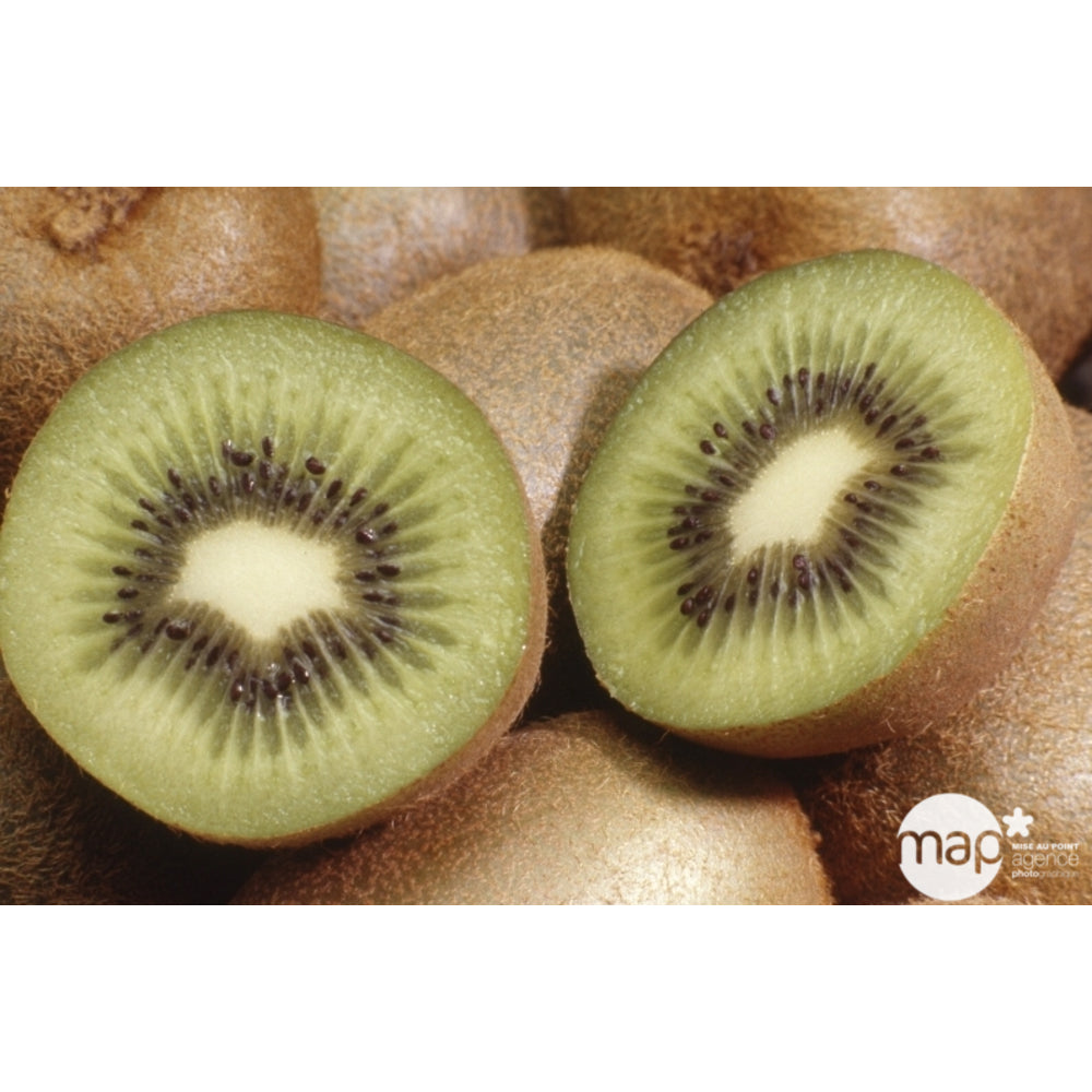  Kiwi Chinensis Solissimo® 'Renact' : Pot De 3 Litres