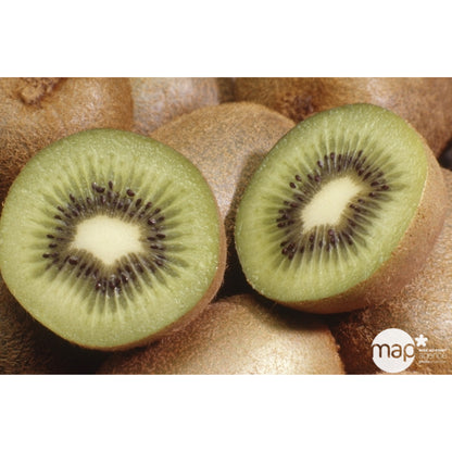  Kiwi Chinensis Solissimo® 'Renact' : Pot De 3 Litres