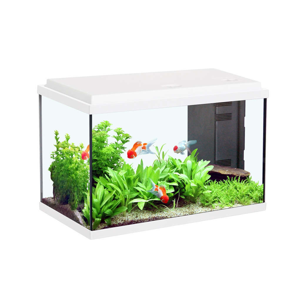  Aquarium Aqua Sarawak, Blanc - 20 Litres