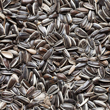  Graines De Tournesol Pour Oiseaux Du Jardin - 20 Kg