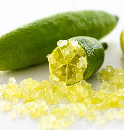  Microcitrus Australasica Pulpe Jaune (caviar De Citron) Pot De 9 Litres -140/160 Cm