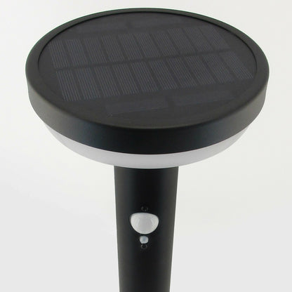 Lot De 2 Bornes à Fixer Solaire Led