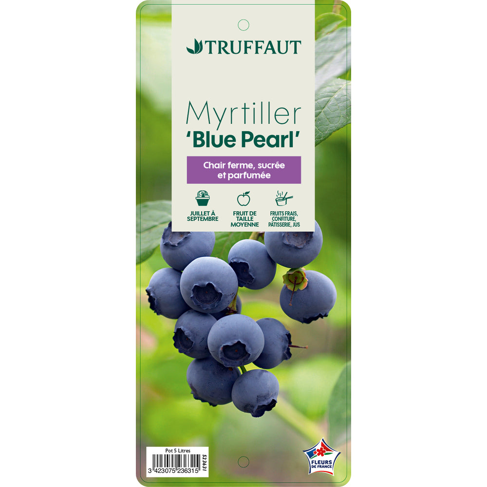  Myrtillier 'Blue Pearl' : Pot De 5 Litres