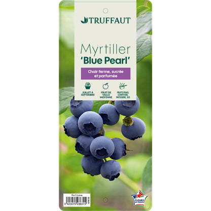  Myrtillier 'Blue Pearl' : Pot De 5 Litres