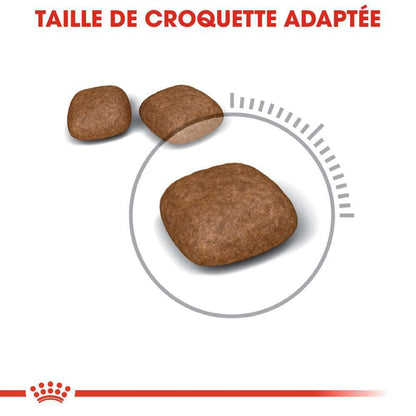 ROYAL CANIN Croquettes Chat Adulte Santé Du Système Urinaire Urinary 4kg