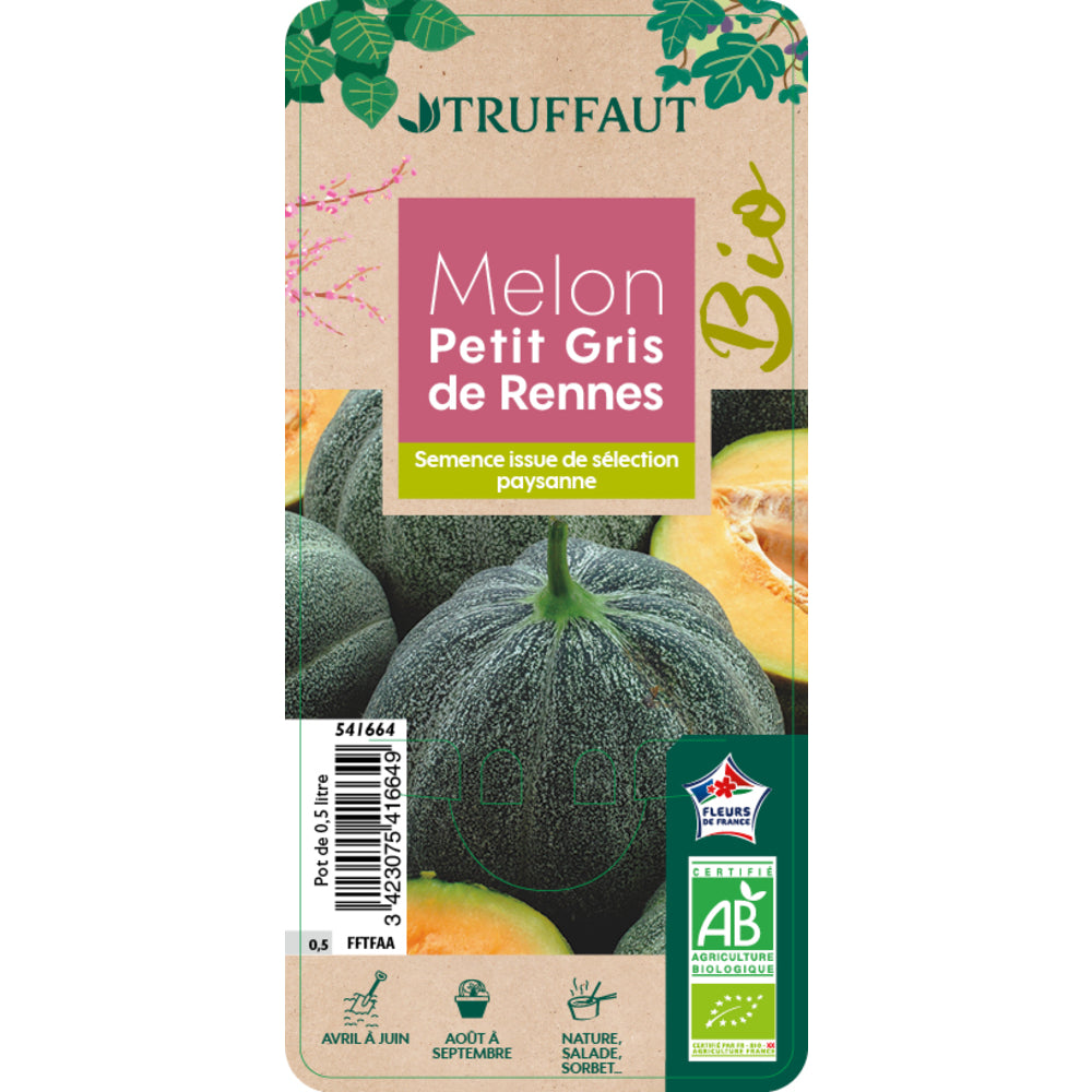  Plant De Melon 'Petit Gris Rennes' Bio : Pot De 0,5 Litre