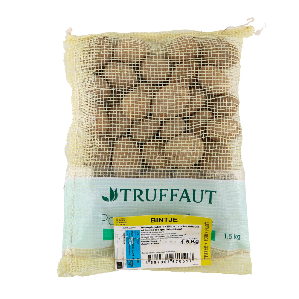  Plants De Pommes De Terre 'Bintje' En Sac - 1,5 Kg