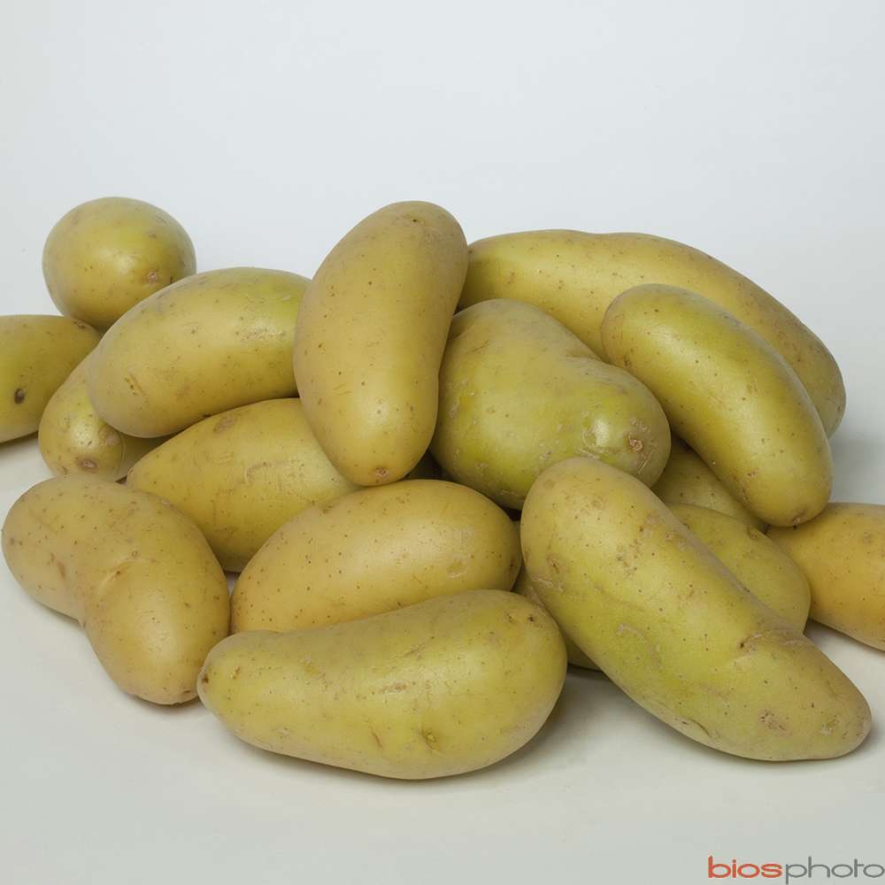  Plants De Pommes De Terre 'Celtiane' En Filet X25