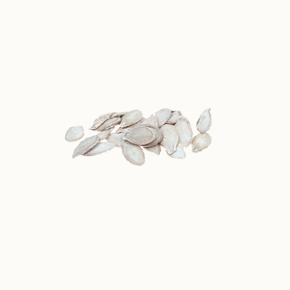  Courge Potiron Bleu De Hongrie - Graines Bio