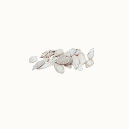 Courge Potiron Bleu De Hongrie - Graines Bio